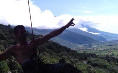 Elefante viola – Pilastro Bruno