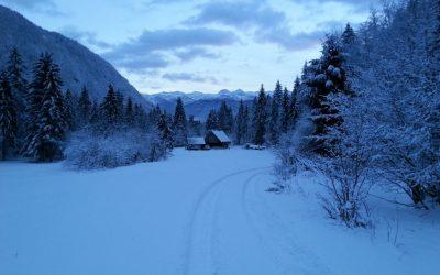 Vis-a-vis in Lušev graben